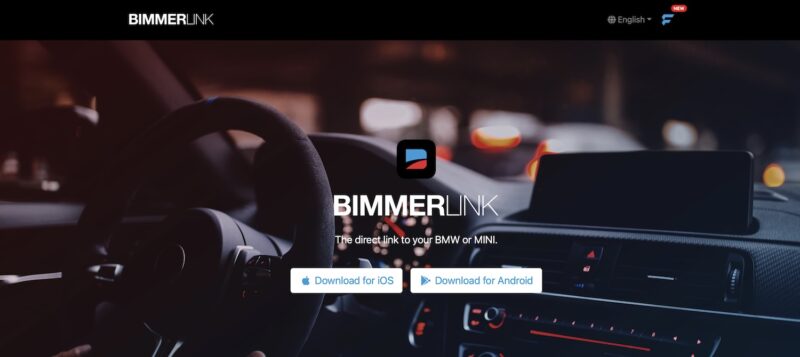 bimmerlink review